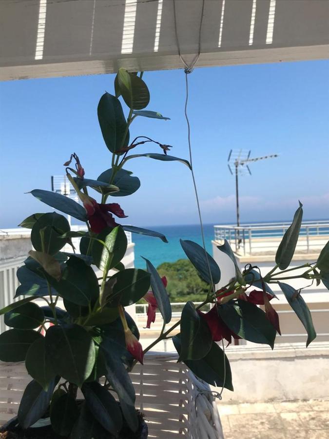 B&B Vistamareblu San Foca Luaran gambar